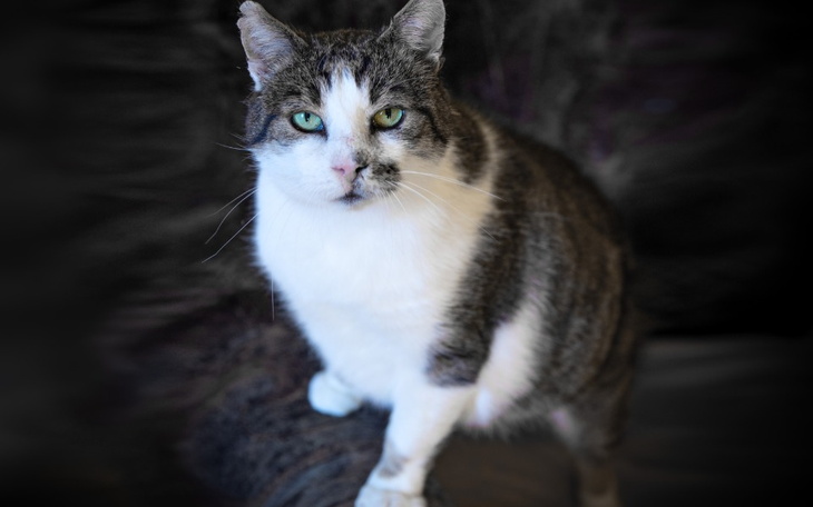 Zbiórka Na leczenie - październik - zdjęcie główne