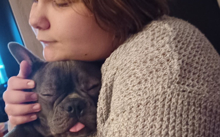 Zbiórka Pragnę kupic psa dla dzieci - zdjęcie główne