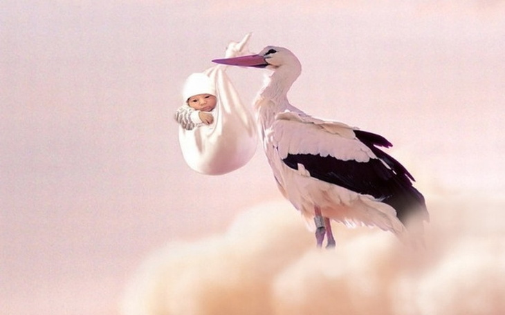 Zbiórka Czekając na cud - zdjęcie główne