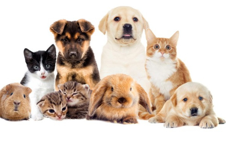 Zbiórka Założenie Fundacji Novum - zdjęcie główne