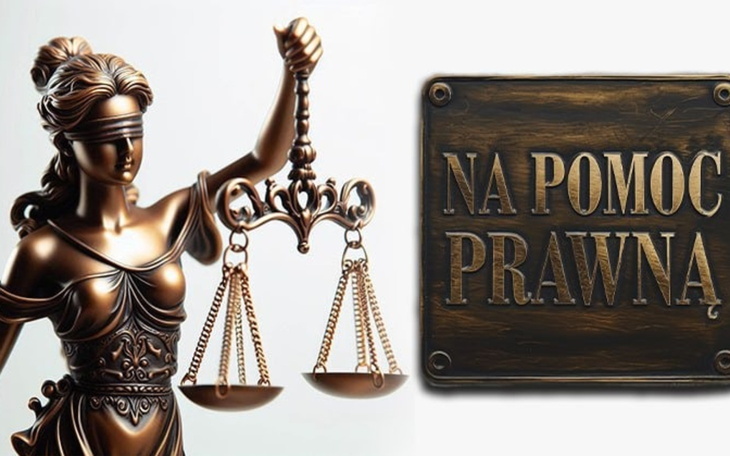 Cztery koty w schronisku, gotowe do znalezienia nowych domów.