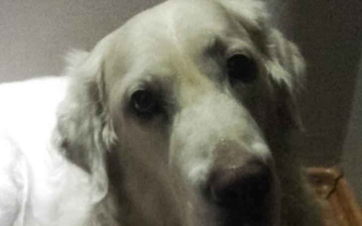 Zbiórka Pomoc w leczeniu Brajana - zdjęcie główne