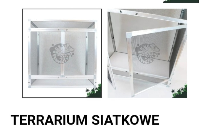 Zbiórka Zbieram na terrarium dla Kameleo - zdjęcie główne