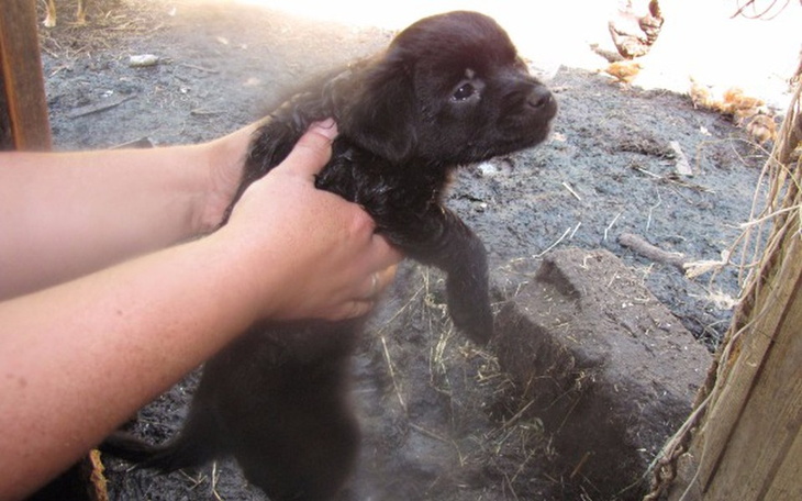 Zbiórka Ze stajni po nowe życie - zdjęcie główne