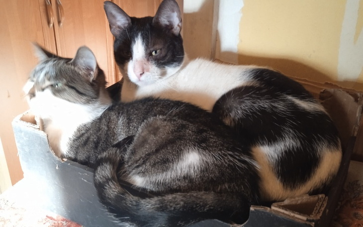 Zbiórka Na leprze jutro - zdjęcie główne