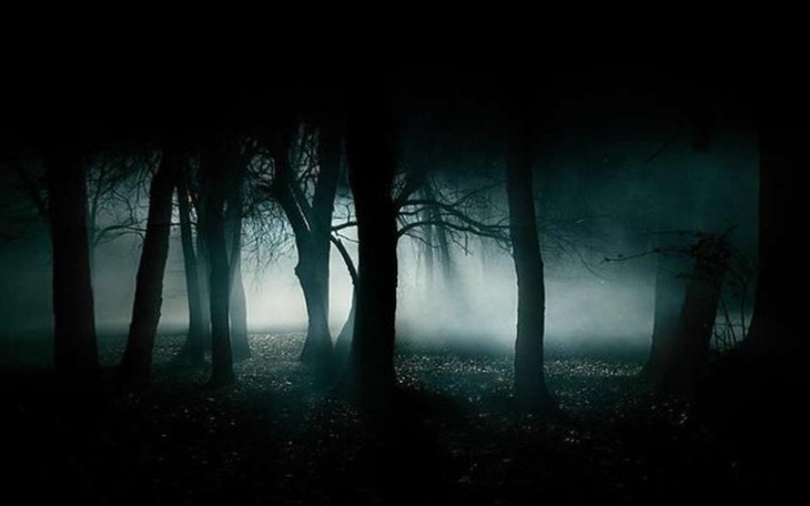 Zbiórka OpenMindStudio - zdjęcie główne