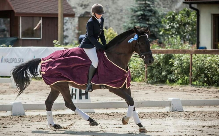 Zbiórka Powrót przyjaciela - zdjęcie główne