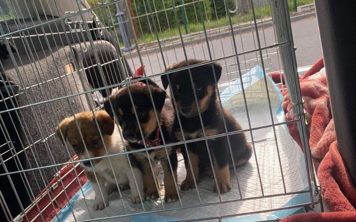 Zbiórka Uratuj Nas.. - zdjęcie główne