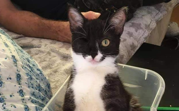 Zbiórka Ostatnia prosta w walce o życie - zdjęcie główne