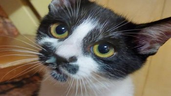 Zbiórka Walka o każdy oddech - miniaturka zdjęcia