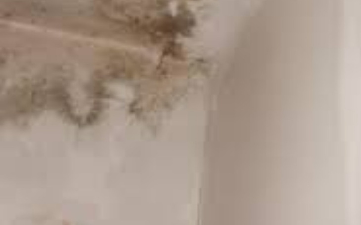 Zbiórka Zrobienie dachu w domku - zdjęcie główne