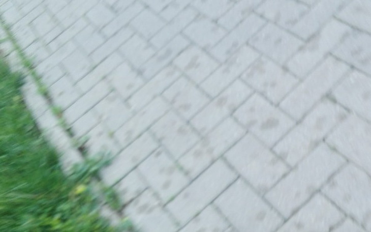 Zbiórka Stworzmy im lepszą przyszłość - zdjęcie główne