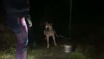 Zbiórka Piekło w Gminie Damnica - miniaturka zdjęcia