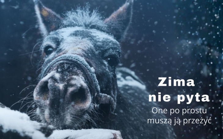 Zimowy koń w śniegu, z hasłem o przetrwaniu zimy.