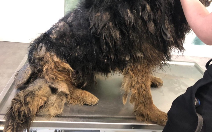 Zbiórka Sponiewierany przez człowieka - zdjęcie główne