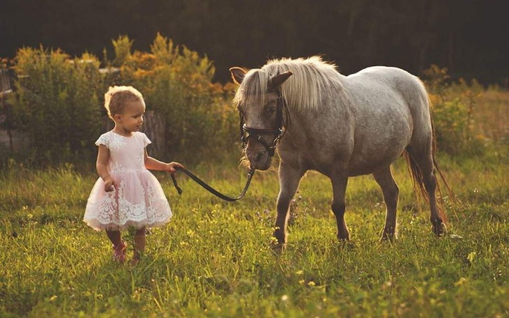 Zbiórka Pomoc dla Tosiulki - zdjęcie główne