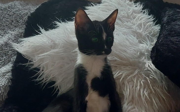 Zbiórka Zatrzymać śmierć. - zdjęcie główne