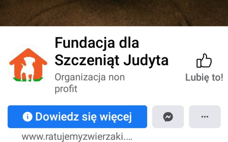 Zbiórka Zbiorka dla Fundacji Judyta - zdjęcie główne