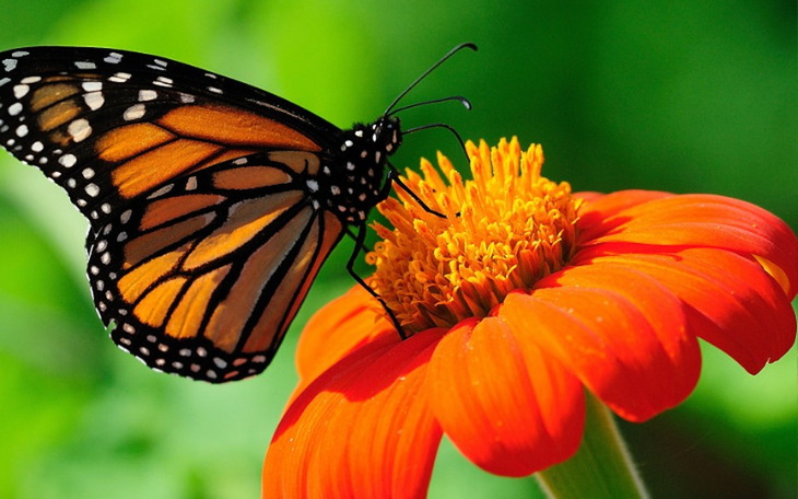 Zbiórka na ratowanie działalności - zdjęcie główne