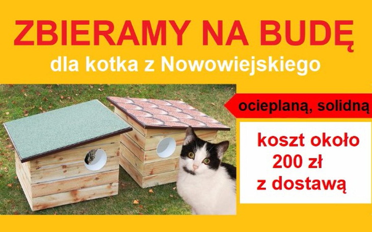 Zbiórka BUDA na zimę dla bezdomnego kota - zdjęcie główne