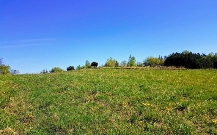 Zbiórka Kupno działki dla zwierząd - zdjęcie główne