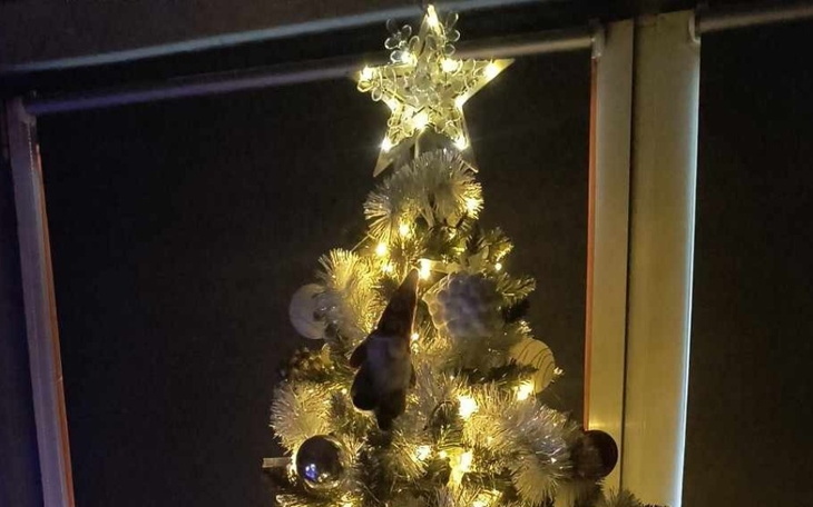 Zbiórka Spłata zadłużenia mieszkaniowego - zdjęcie główne