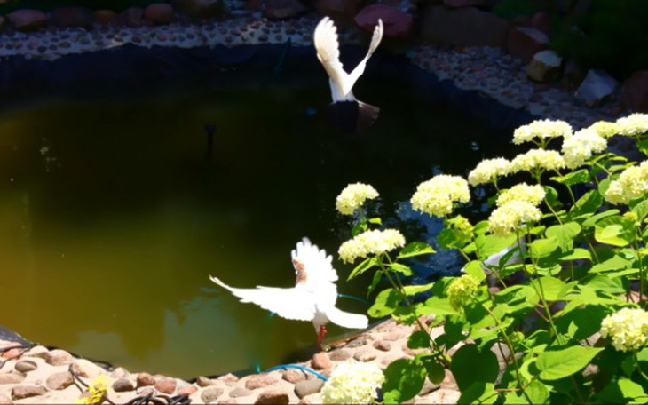 Zbiórka Do ludzi o dobrych sercach - zdjęcie główne