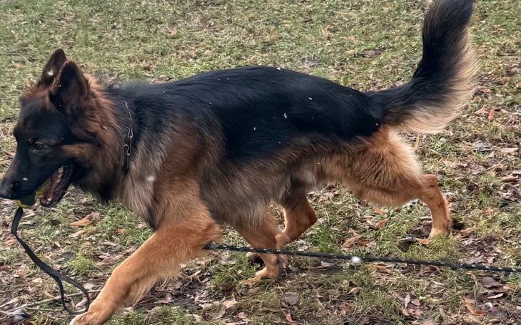 Zbiórka Pomóż mi nam stanąć na nogi - zdjęcie główne