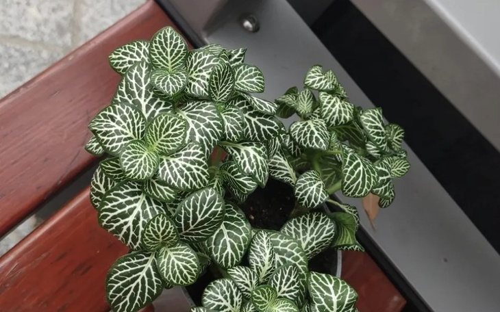 Zbiórka Na start biznesu. - zdjęcie główne