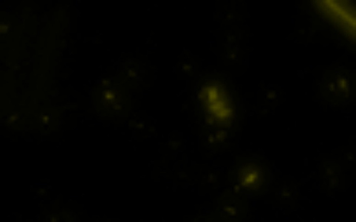 Zbiórka Pomoc w rozwoju serwera Ts3 - zdjęcie główne