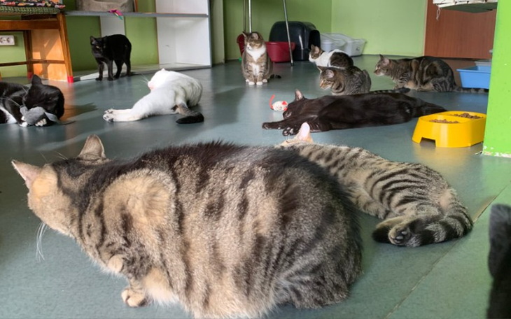 Zbiórka Mruczarnia - grudzień - zdjęcie główne