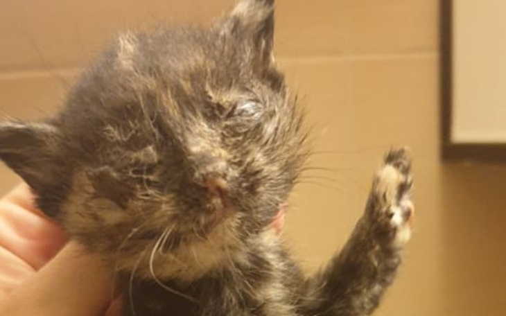 Zbiórka Pomóżmy im przeżyć - zdjęcie główne