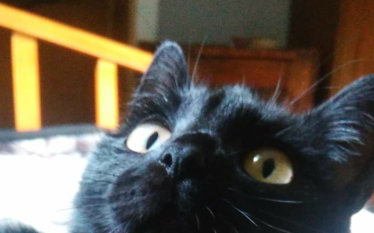 Zbiórka Moc uśmiechu - zdjęcie główne