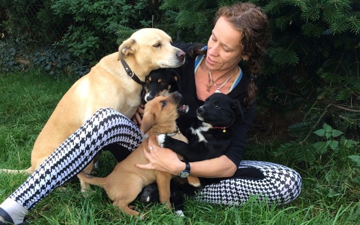 Zbiórka TYMCZAS u psio-kociej mamy - zdjęcie główne