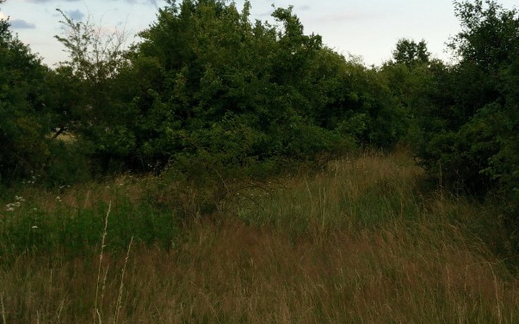 Zbiórka Działka budowlana - zdjęcie główne