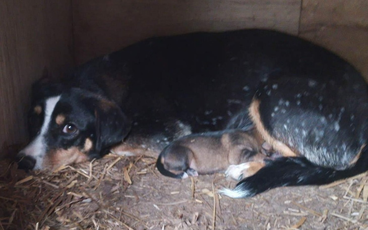 Zbiórka Pobyt w fundacji - zdjęcie główne