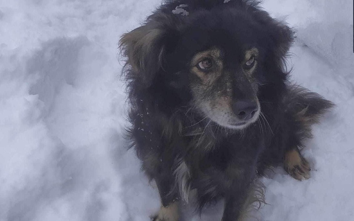 Zbiórka Na ratunek staruszkowi - zdjęcie główne