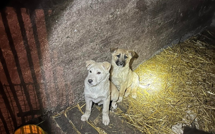 Zbiórka Dwa maluszki z ciemnej komórki - zdjęcie główne