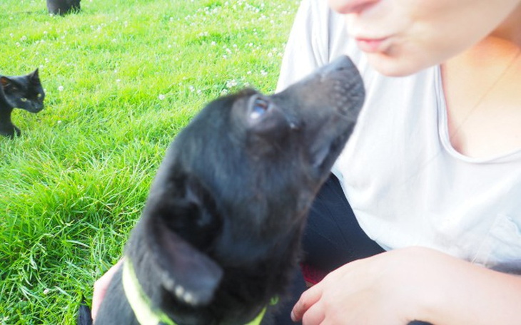 Zbiórka Dług za życie...prosimy o pomoc! - zdjęcie główne