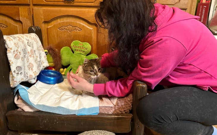 Zbiórka Na przetrwanie marca 2024 - zdjęcie główne