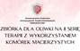 Zbiórka Terapia MSC dla Oliwki II seria - miniaturka zdjęcia