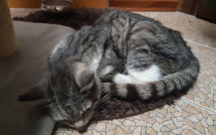 Zbiórka Pomóż mi walczyć o moje życie - zdjęcie główne