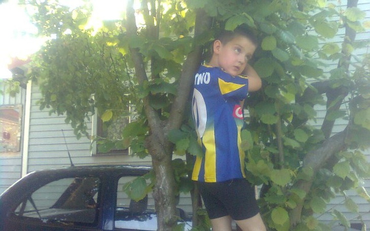 Zbiórka Dominik odczulanie - zdjęcie główne