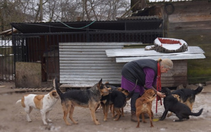 Zbiórka Na opał by zwierzaki nie marzły - zdjęcie główne