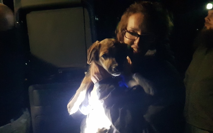 Zbiórka Bystre STOP - 21 szans - zdjęcie główne