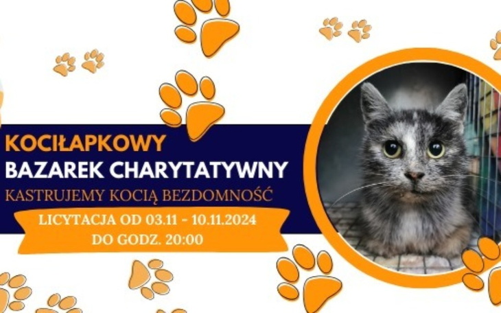 Zbiórka KociŁapkowy Bazarek listopadowy - zdjęcie główne