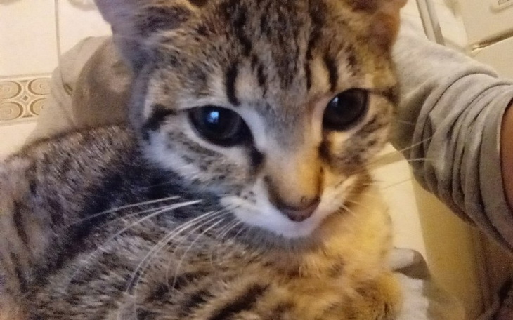 Zbiórka Zaplata za wynajem mieszkania - zdjęcie główne