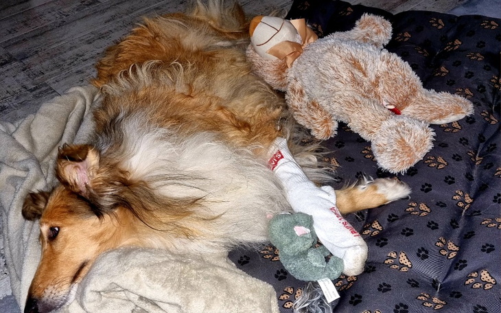 Zbiórka Włamanie na konto bankowe sant.. - zdjęcie główne