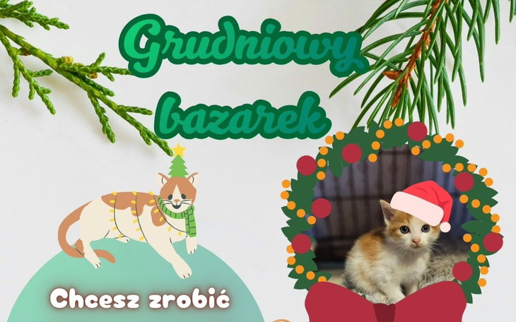 Plakat Grudniowego Bazarku z ilustracją kota i świątecznymi akcentami.