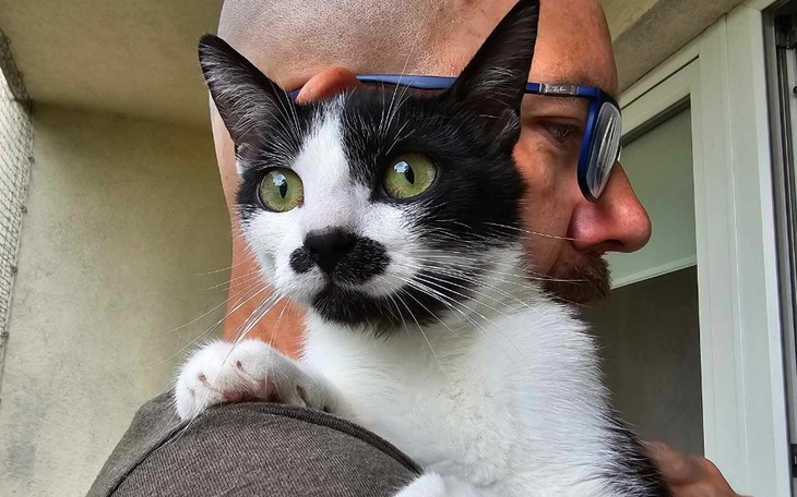 Mężczyzna trzyma kota, obaj z wyrazami radości.